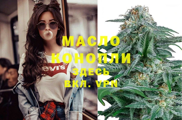 первитин Каменка