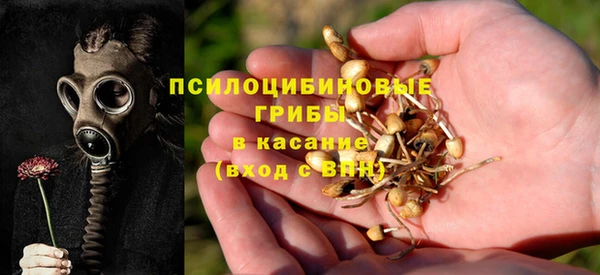 ПСИЛОЦИБИНОВЫЕ ГРИБЫ Каменногорск