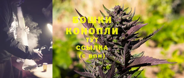 ПСИЛОЦИБИНОВЫЕ ГРИБЫ Каменногорск