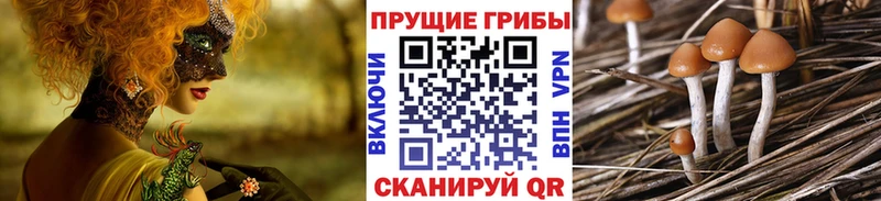 Купить закладки  Вилючинск  Галлюциногенные грибы MAGIC MUSHROOMS 