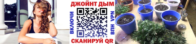 Марихуана White Widow  Купить закладки  Вилючинск 